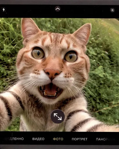 Тетрадь 48л кл. "Зверо-селфи" мел.картон, мат.ламинация, ассорти - фото 5