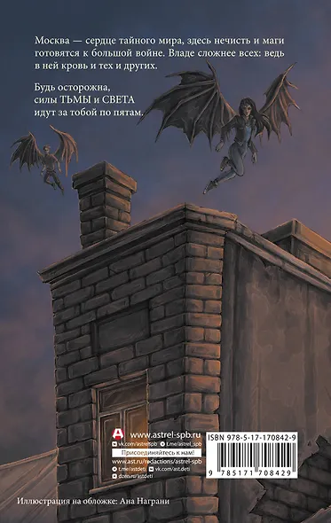 Влада. Маг-убийца - фото 2