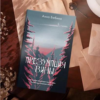 Презумпция вины: роман - фото 11