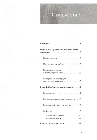 Самоучитель по рисованию. Шаг за шагом ( + CD с видеокурсом). - фото 2