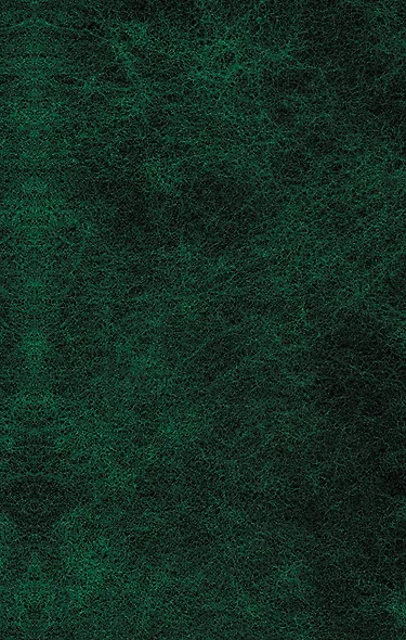 Укрощение строптивой : комедии - фото 2