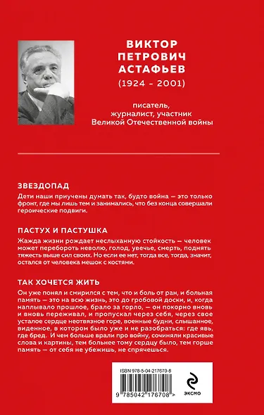 Набор "Великие книги Великой Победы" (из 3-х книг с шоппером) - фото 10