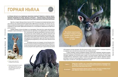 Красная книга мира. Животные - фото 8