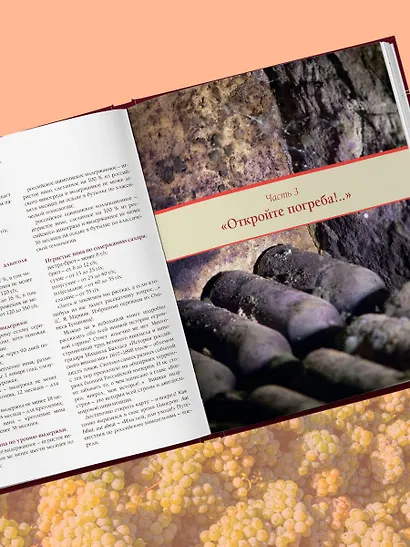 Атлас русского вина. От Крыма до Волги: путеводитель по российским винам - фото 9