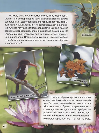 Заповедники мира. Азия - фото 3