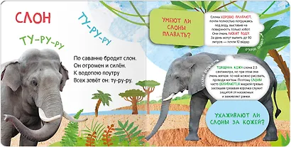 Книжки с окошками. Кто где живет? - фото 3