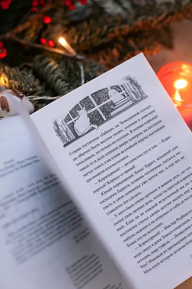 Шесть зимних ночей - фото 6