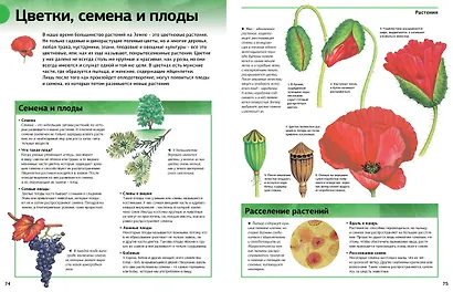 Новая энциклопедия школьника - фото 3