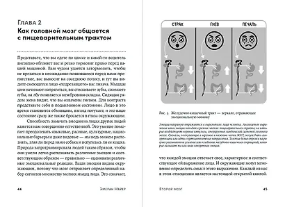 Второй мозг. Как микробы в кишечнике управляют нашим настроением, решениями и здоровьем - фото 3