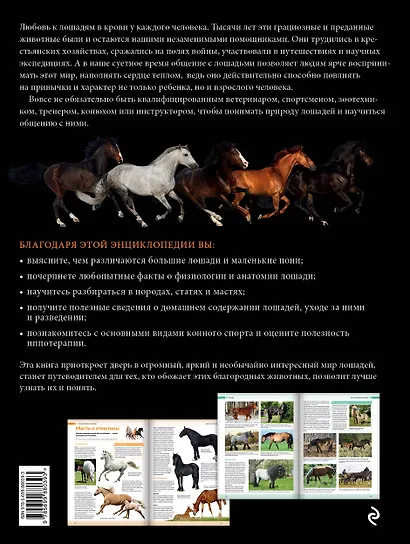 Лошади. Самая полная иллюстрированная энциклопедия - фото 2