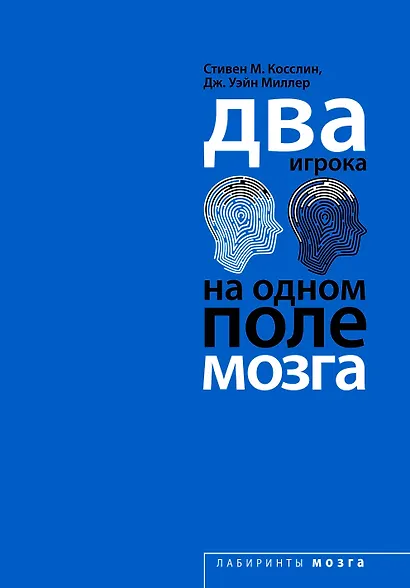 Два игрока на одном поле мозга - фото 1