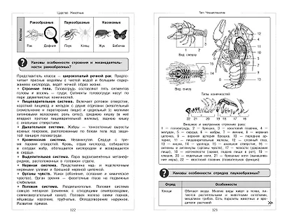 Биология - фото 11