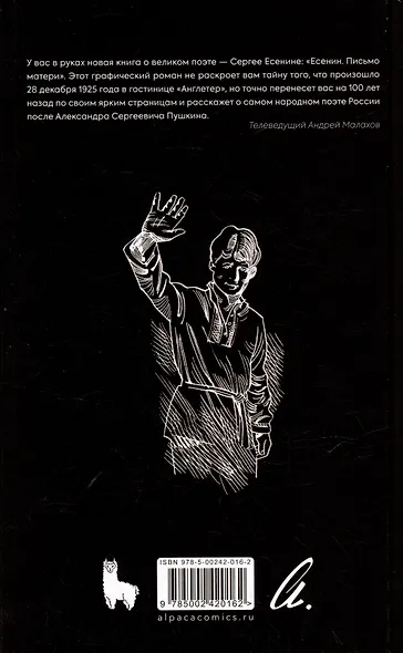 Есенин. Письмо Матери - фото 4