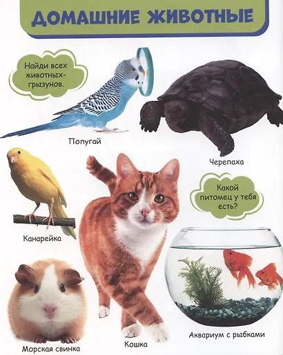 Мои любимые животные - фото 2