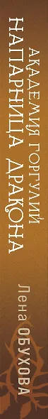 Академия Горгулий. Напарница дракона - фото 5