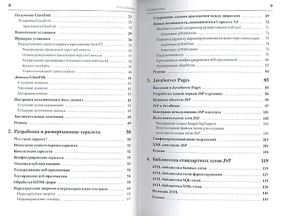 Java EE 6 и сервер приложений GlassFish 3 - фото 3