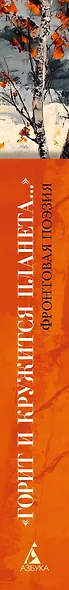 «Горит и кружится планета…» Фронтовая поэзия - фото 11