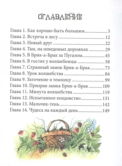 Пленник замка Брик-а-Брак - фото 2