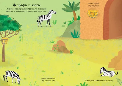 Зоопарк - фото 9