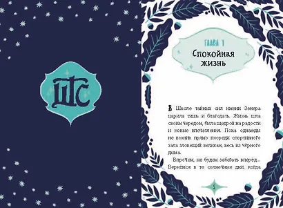 Заклятие тёмного мага - фото 7