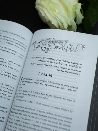 Железное пламя - фото 12