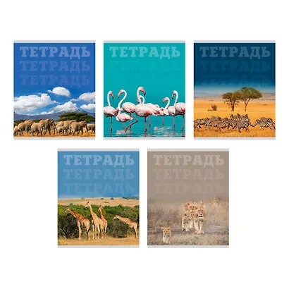 Тетрадь в клетку Listoff, "В мире животных", 80 листов, в ассортименте - фото 1