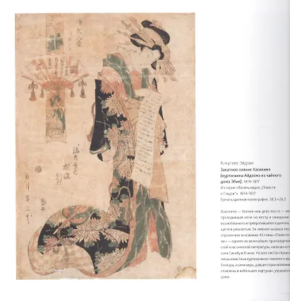 Остроумова-Лебедева Художник и коллекционер (Васильева) (ПИ) - фото 2