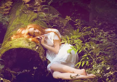 Книга Фей. Волшебный путеводитель по сокровищам литературы, вершинам изящных искусств и глубинам тайных знаний - фото 8