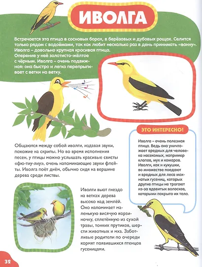 Птицы для малышей - фото 5