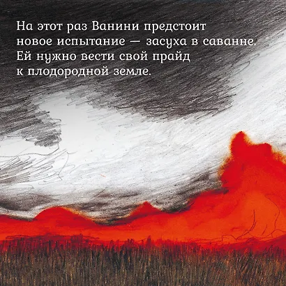 Прайд Ванини - фото 6