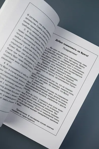 Врата - фото 8