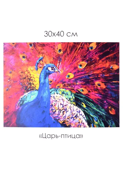 Набор для творчества ТМ Origami Алмазные узоры. Царь-птица 30*40см арт. 06719 - фото 2