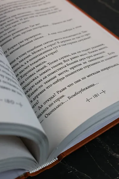 Усопшие. Книга 5 (Shiki). Ранобэ - фото 12
