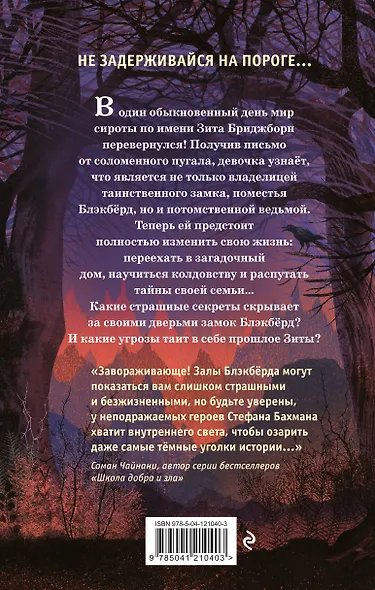 Тишина в замке Блэкбёрд - фото 2
