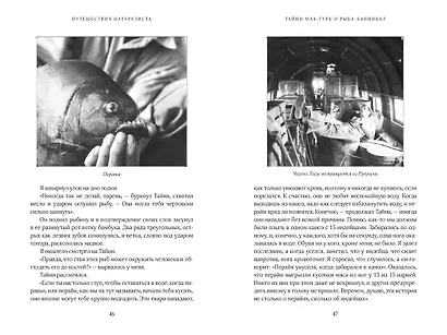 Путешествия натуралиста. Приключения с дикими животными - фото 5