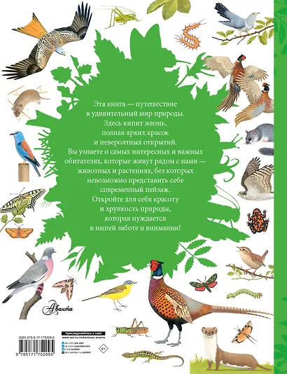 Животные рядом с нами - фото 2