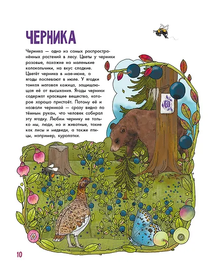 Грибы и ягоды - фото 7