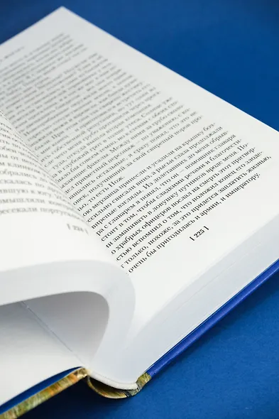 Приключения бригадира Жерара - фото 14