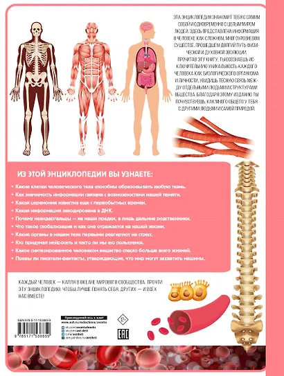 Человек - фото 2