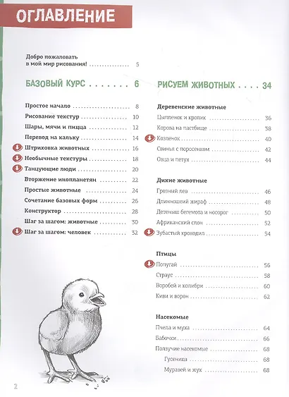 Пошаговый курс рисования для детей - фото 2