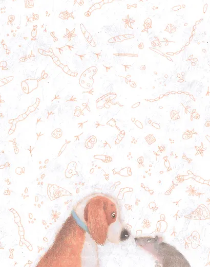 Бигль Бублик ищет дом - фото 7