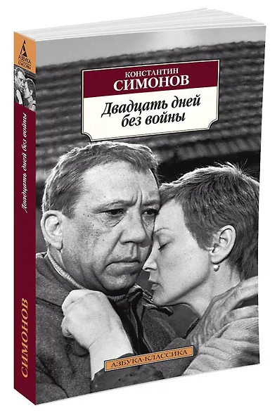 Двадцать дней без войны - фото 2