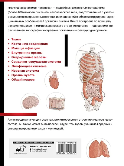 Наглядная анатомия человека. Подробный атлас с иллюстрациями - фото 2
