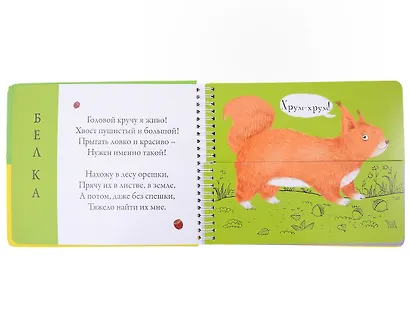 Перевертыши. Лесные  животные. Картинки - половинки - фото 4