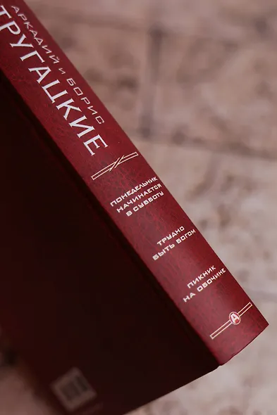 Понедельник начинается в субботу. Трудно быть богом. Пикник на обочин - фото 10