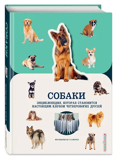 Собаки - фото 3