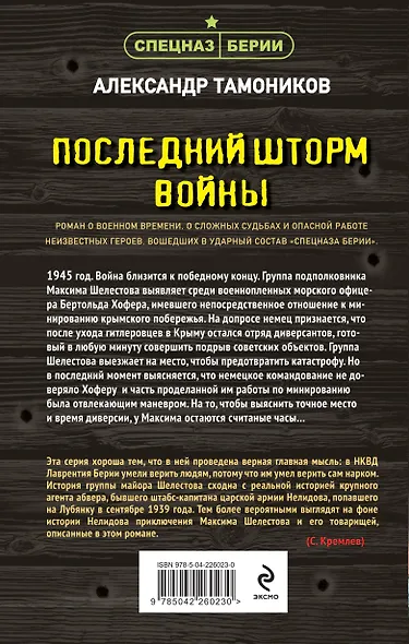 Последний шторм войны - фото 2