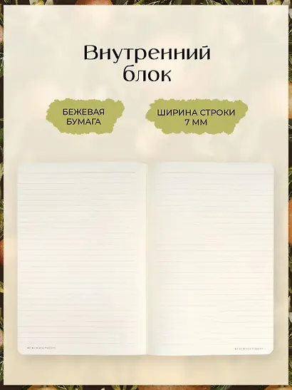 Записная книжка на резинке А6 100 листов в линию "FLORA.РАЙСКИЕ АПЕЛЬСИНЫ", Bruno Visconti - фото 4