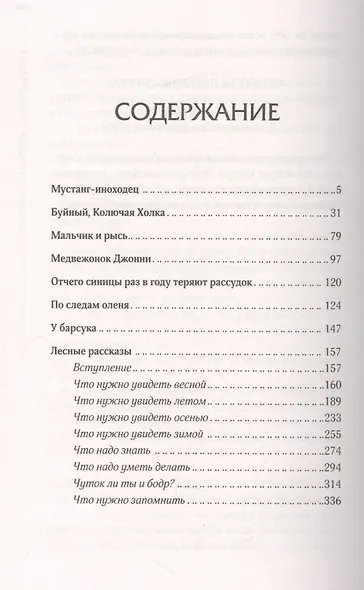 Мустанг-иноходец - фото 2