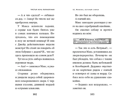 Третья ночь полнолуния - фото 10